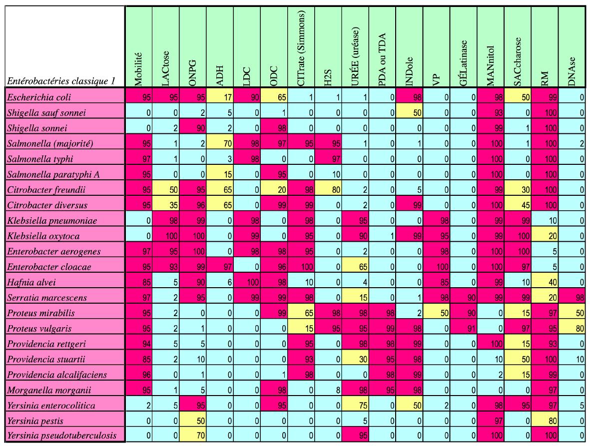 Api 20e Tableau D Identification